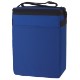 Budget 12 Pack Cooler