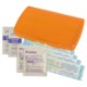 Primary Care First Aid Kit