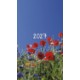 Colorful Impressions Monthly Pocket Planner