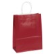 Gloss Finish Paper Shopper, 10" x 13", Colors