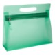 Translucent Vanity Bag
