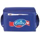 Economy 6-Pack Cooler