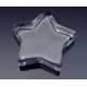 CEO Star Paperweight