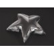 Radiant Star Paperweight