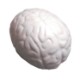 Brilliant Brain Stress Reliever