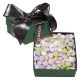 Classic Singles Gift Box w/ Mint Lentils