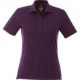 Dade Textured Knit Ladies' Performance Polo
