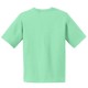Gildan® Ultra Cotton™ 100% Cotton Youth Tee