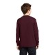 Port & Company® 100% Cotton Youth Long Sleeve Tee