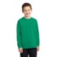 Port & Company® 100% Cotton Youth Long Sleeve Tee