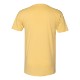 Next Level® Premium Cotton Men's V-Neck Tee