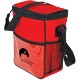 Twelve Can Insulated Lunch Cooler