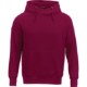 Dayton Men's Fleece Hoodie