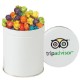 Gourmet Corporate Colors Mix & Match Flavored Popcorn Tin, Quart