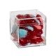 Gummy Brains Candy Box
