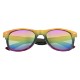 Metallic Rainbow Malibu Sunglasses