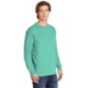 Comfort Colors® Heavyweight Ring Spun Cotton Unisex Long Sleeve Tee