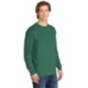 Comfort Colors® Heavyweight Ring Spun Cotton Unisex Long Sleeve Tee