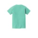 Comfort Colors® Midweight Ring Spun Cotton Youth Tee