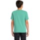 Comfort Colors® Midweight Ring Spun Cotton Youth Tee