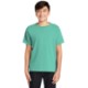 Comfort Colors® Midweight Ring Spun Cotton Youth Tee