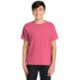 Comfort Colors® Midweight Ring Spun Cotton Youth Tee