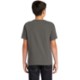Comfort Colors® Midweight Ring Spun Cotton Youth Tee
