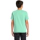 Comfort Colors® Midweight Ring Spun Cotton Youth Tee