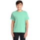 Comfort Colors® Midweight Ring Spun Cotton Youth Tee