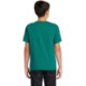 Comfort Colors® Midweight Ring Spun Cotton Youth Tee