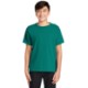Comfort Colors® Midweight Ring Spun Cotton Youth Tee