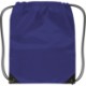 Small Drawstring Backpack