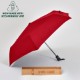 Super Pocket Mini Auto Open/Close Umbrella, 43" Arc