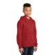 District® V.I.T. ™ Fleece Youth Hoodie