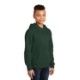 District® V.I.T. ™ Fleece Youth Hoodie
