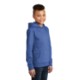 District® V.I.T. ™ Fleece Youth Hoodie