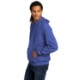 Champion® Eco Fleece Cotton/Poly Pullover Unisex Hoodie Sweatshirt