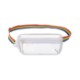 Sigma Clear Polyester Mini Sling Bag