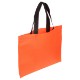 Landscape Recycled Non-Woven Shopping Bag