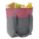 Adventure Lunch Cooler Tote