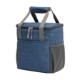 Horizon 9-Can Polyester Lunch Cooler