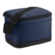 Classic 6-Can Polyester Lunch Cooler