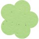 Flower Seed Paper Shape w/ Bookmark