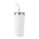 Faye Double Wall Vacuum Tumbler w/ Stainless Steel Straw, 20oz.