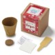 Garden of Hope Planter in Kraft Gift Box w/ Label