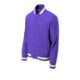 Sport-Tek® Insulated Polyester Varsity Men's Jacket