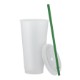 Aurora Tumbler, 24oz.