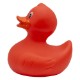 Colorful Rubber Duck