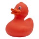 Colorful Rubber Duck