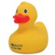 Colorful Rubber Duck